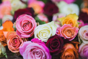  The Ultimate Guide to Choosing the Perfect Flowers for Any Occasion