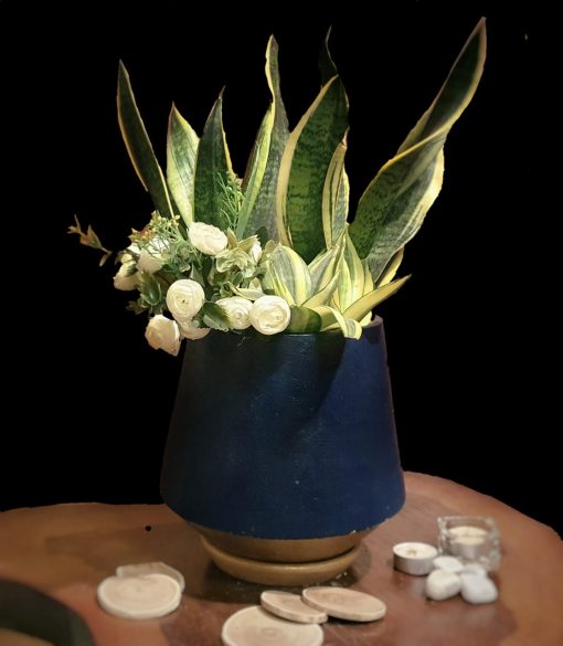 Snake Plants (Sansevieria) white Artificial flowers with pots nabatdelivery