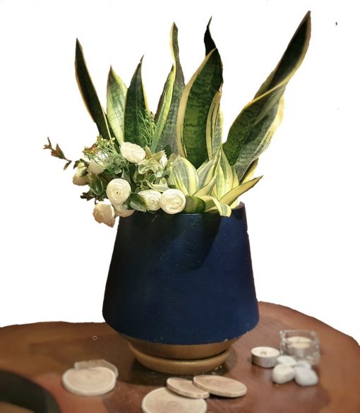 Snake Plants (Sansevieria) white Artificial flowers with pots nabatdelivery