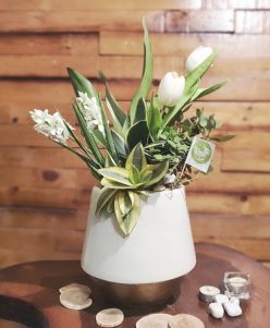 Purify air plants white Artificial flowers with white pot nabatdelivery