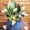Purify air plants white Artificial flowers with pot nabatdelivery